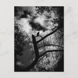 Spooky Raven i Träd Vykort