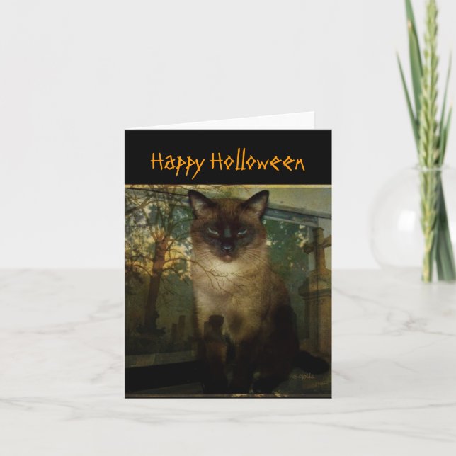 Spooky Siamese Cat Halloween-hälsningskort Kort (Framsida)