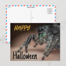 Spooky Spider Halloween Hälsning