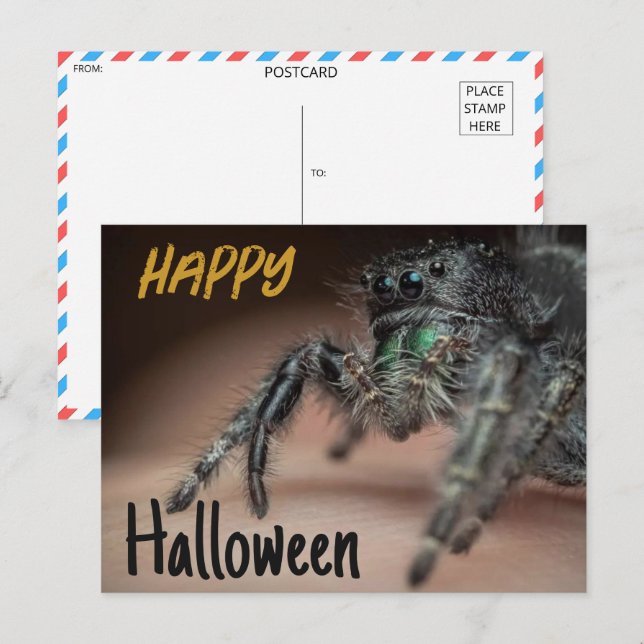 Spooky Spider Halloween Hälsning Vykort (Fram/baksida)