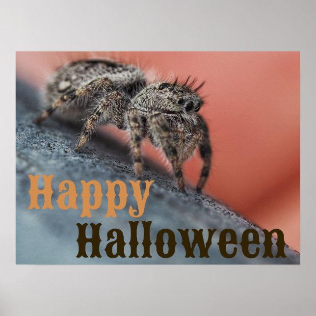 Spooky Spider Halloween Poster (Framsidan)