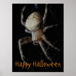 Spooky Spindelnät - Halloween Poster