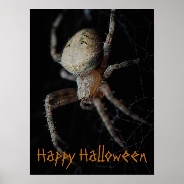 Spooky Spindelnät - Halloween Poster (Framsidan)