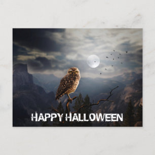 Spooky Uggla och Full Moon Halloween Vykort