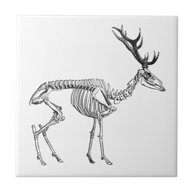 Spooky vintage skeleton renar teckning kakelplatta (Framsidan)