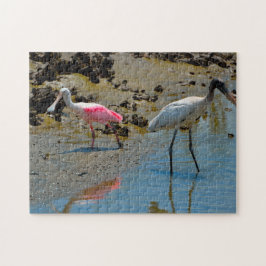 Spoon Bill Skogsstork Florida Pussel