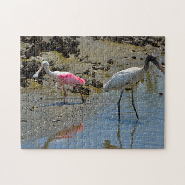 Spoon Bill Wood Stork Florida Pussel (Horisontell)
