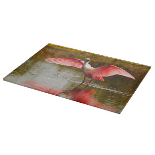 spoonbill