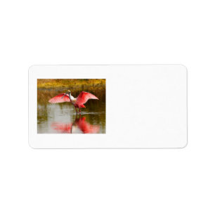 spoonbill adressetikett