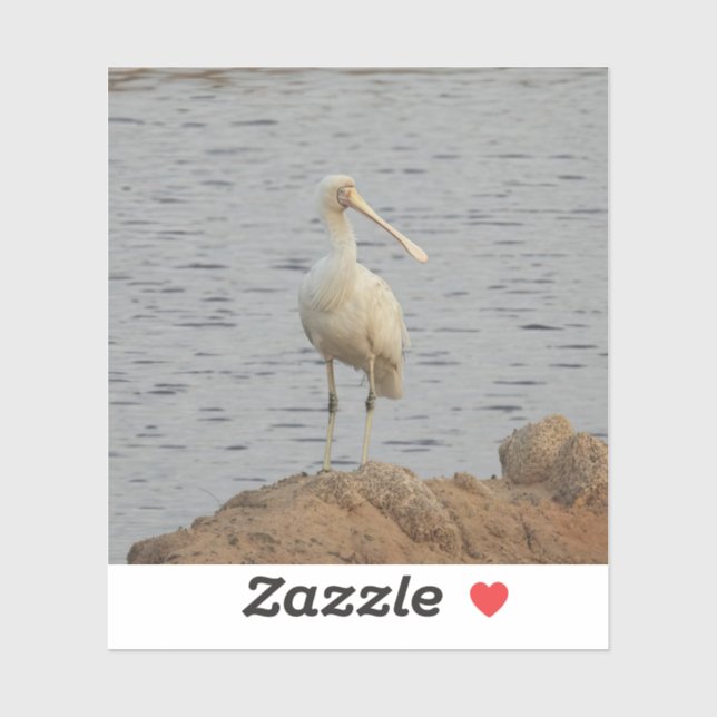 Spoonbill Bird Klistermärken (Ark)