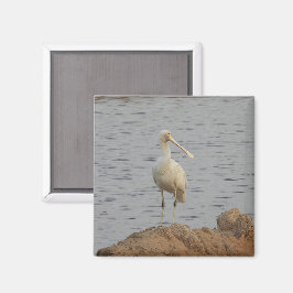 Spoonbill Bird Magnet