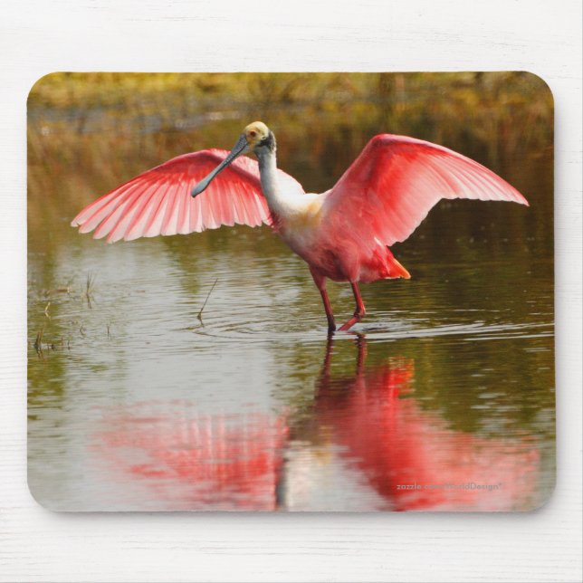 Spoonbill Musmatta (Framsidan)