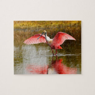 Spoonbill Pussel