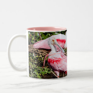 Spoonbill Sanctuary: Gömt Gems Mugg