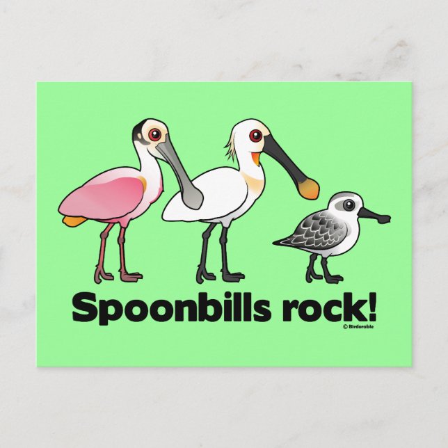 Spoonbill Sten! Vykort (Framsida)
