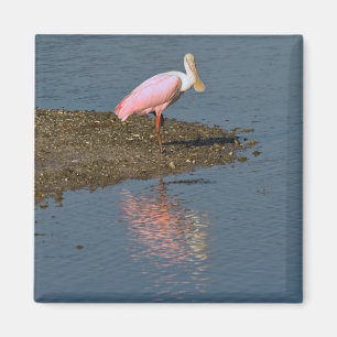 Spoonbillreflexionsmagnet Magnet