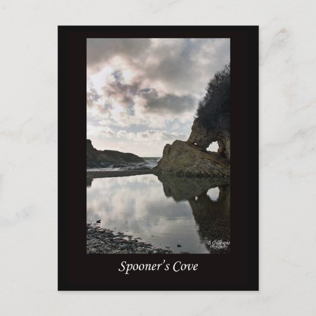 Spooner's Cove California Vykort (Framsida)