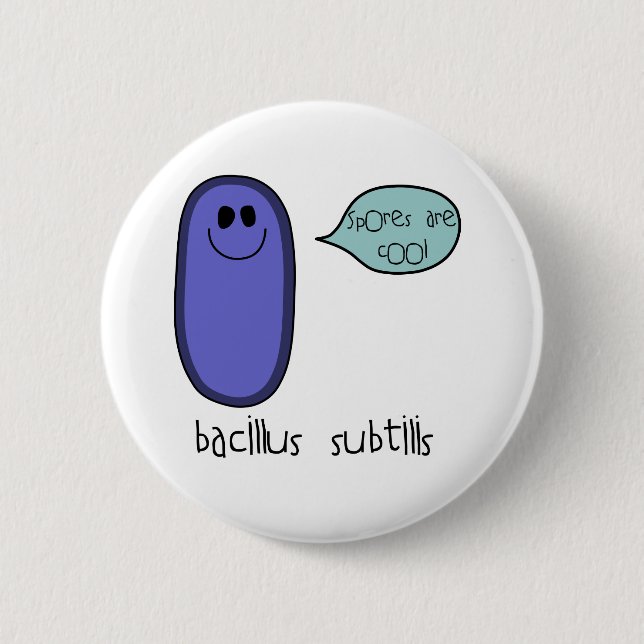 Spor Knapp (Framsida)