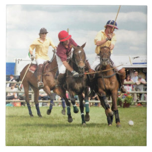 SPORT HORSES KAKELPLATTA