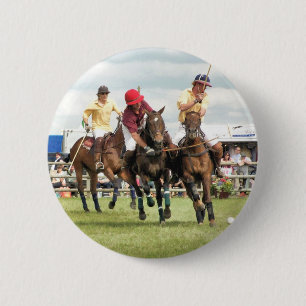 SPORT HORSES KNAPP