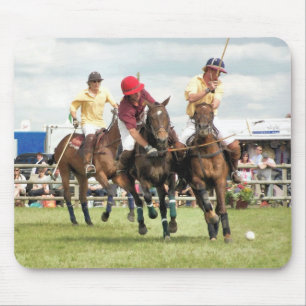 SPORT HORSES MUSMATTA