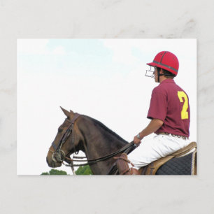 SPORT HORSES VYKORT