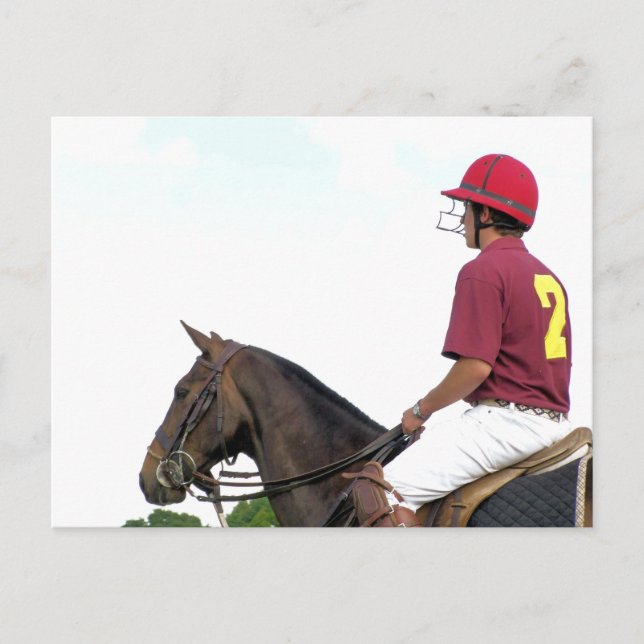 SPORT HORSES VYKORT (Framsida)