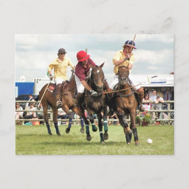 SPORT HORSES VYKORT (Framsida)