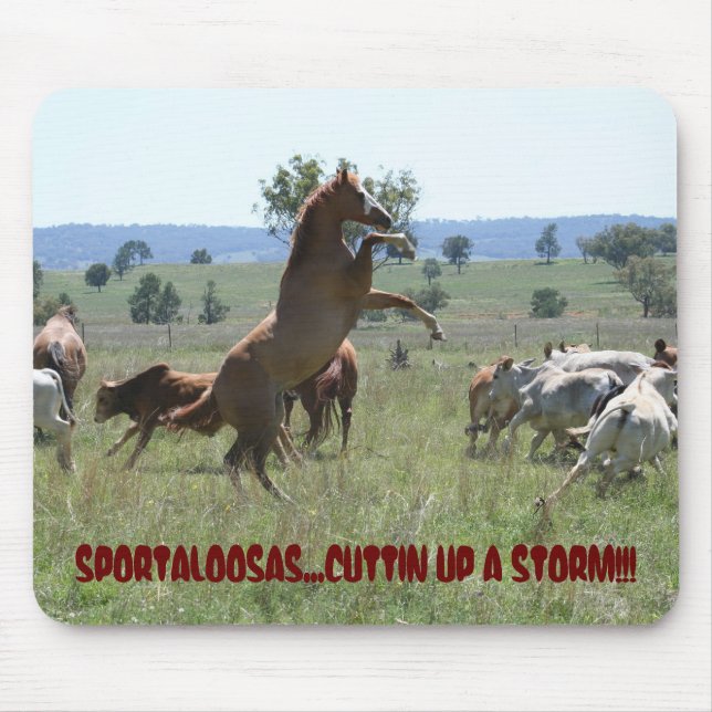 SPORTALOOSA-KLIPP MUSMATTA (Framsidan)
