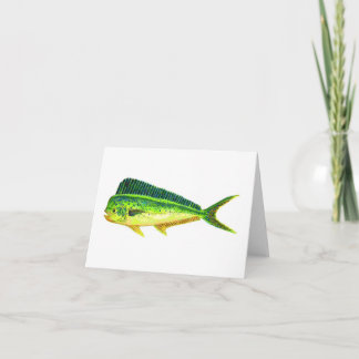 SPORTFISH NOTERAR KORT