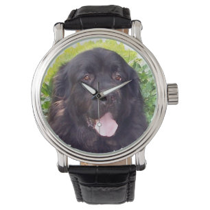 Sportig Newfoundland hundklocka Armbandsur