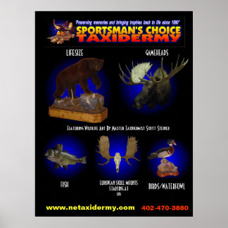 SPORTSMANS VALSKATTESKATTEMIN POSTER