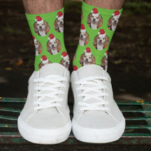 Sporty Grönt Pet Photo & Santa Hats på huvud