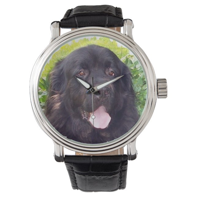 Sporty Newfoundland hund Watch Armbandsur (Framsida)