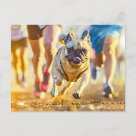 Sporty Pug Running During Exercise Vykort