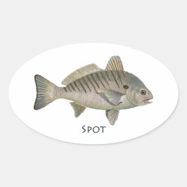 Spot Fish Ovalt Klistermärke
