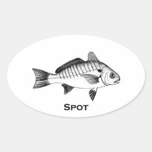 Spot Fish (titled) Ovalt Klistermärke