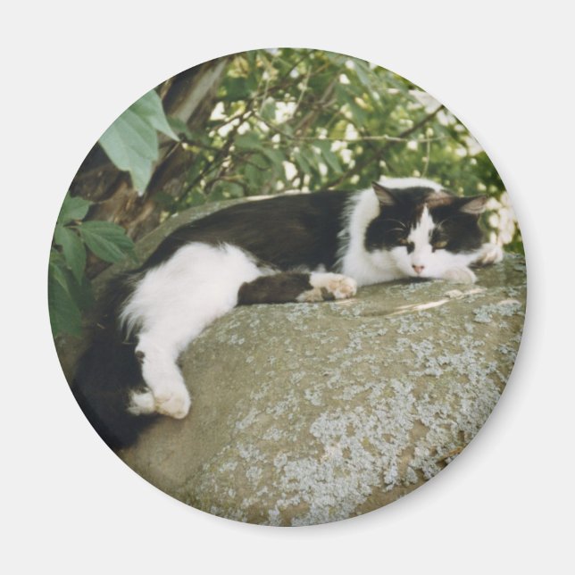 Spot Magnet (Framsidan)