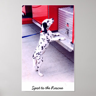 Spot på Räddingen Poster