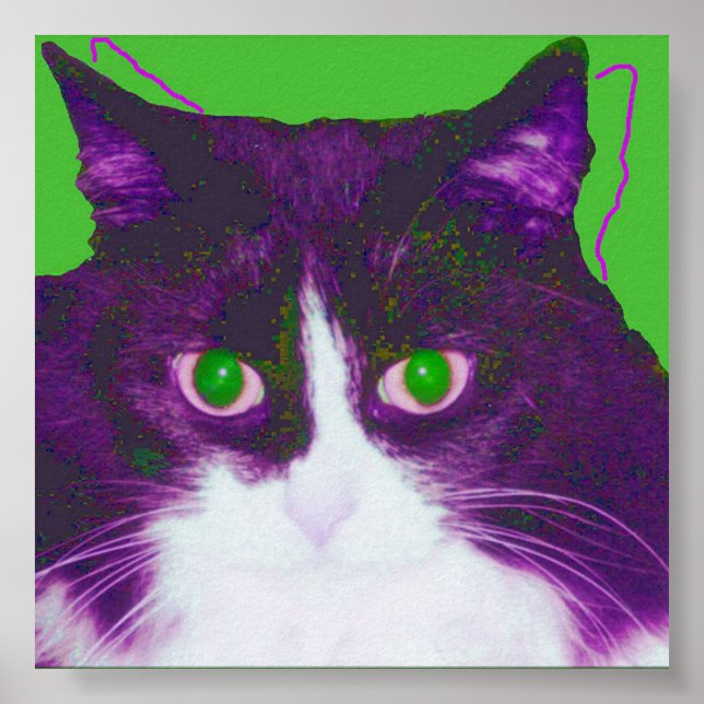 Spot Poster (Framsidan)