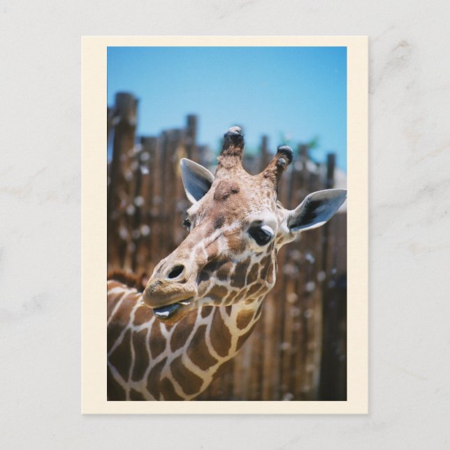 Spot Vykort (Framsida)