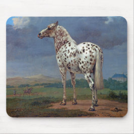 Spoted Appaloosa Horse Mouse Pad Musmatta