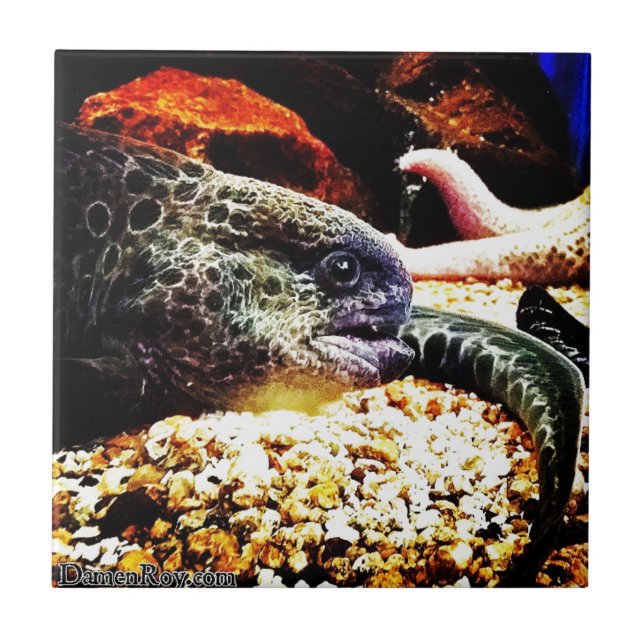 Spoted Eel Kakelplatta (Framsidan)