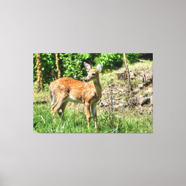 Spoted Fawn Canvastryck (Framsida)