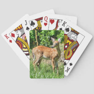 Spoted Fawn Casinokort