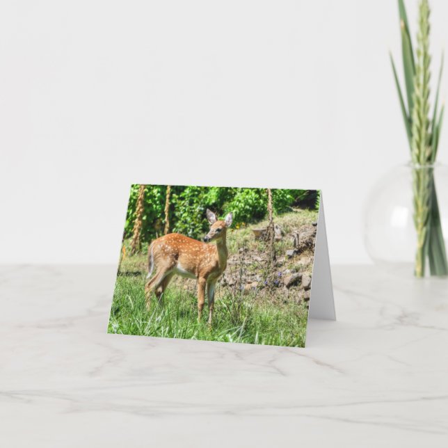 Spoted Fawn Kort (Framsida)