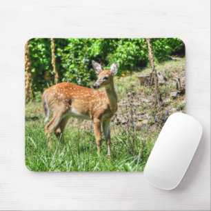 Spoted Fawn Musmatta