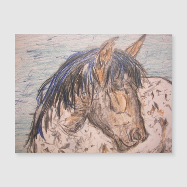 Spoted Horse (Framsida)