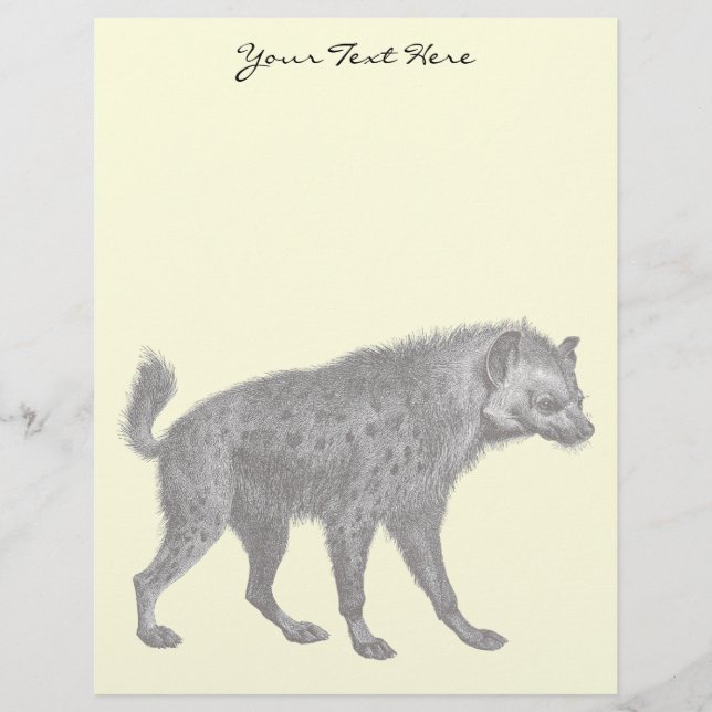Spoted Hyena Letterhead (Framsida)