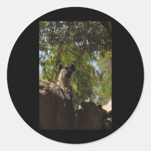 Spoted Hyena Nature Älskare Valencia Lodrät Stic Runt Klistermärke
